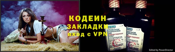 трава Инта