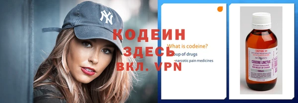 трава Инта