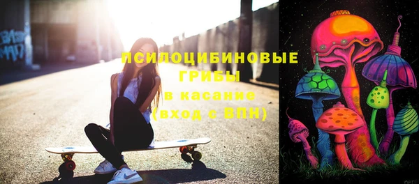 трава Инта