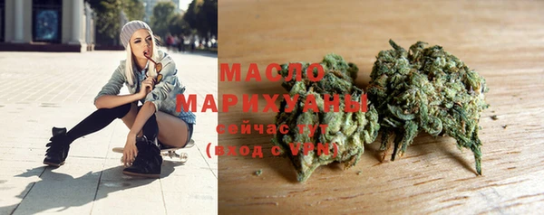 трава Инта
